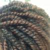 Elegance Hair Braiding By Detty