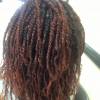 Elegance Hair Braiding By Detty