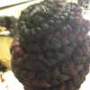 Elegance Hair Braiding By Detty